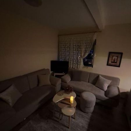 Quiet, Cozy, Luminous Apartment Тирана Екстериор снимка