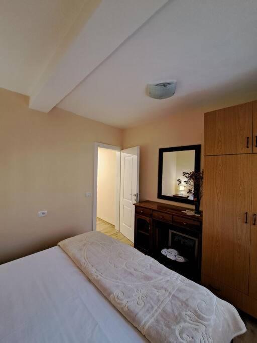 Quiet, Cozy, Luminous Apartment Тирана Екстериор снимка