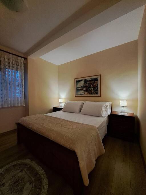Quiet, Cozy, Luminous Apartment Тирана Екстериор снимка