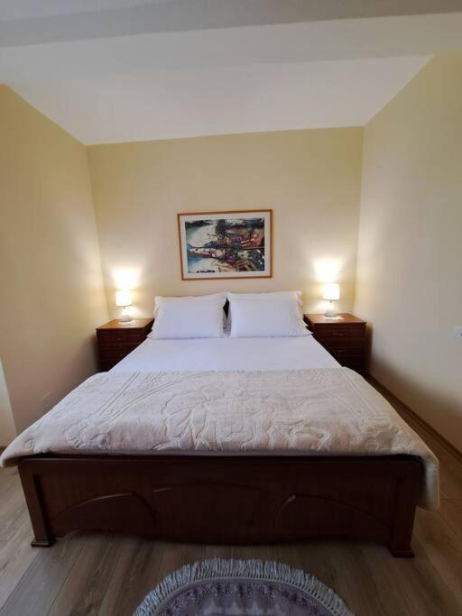 Quiet, Cozy, Luminous Apartment Тирана Екстериор снимка