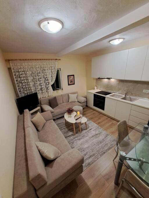 Quiet, Cozy, Luminous Apartment Тирана Екстериор снимка
