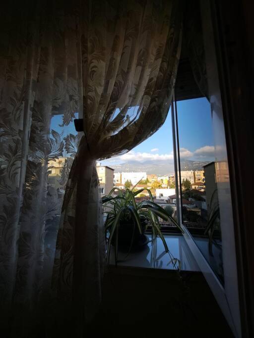 Quiet, Cozy, Luminous Apartment Тирана Екстериор снимка