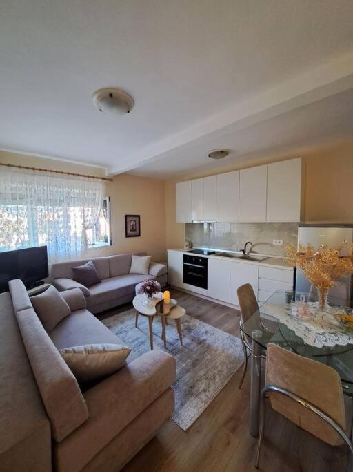 Quiet, Cozy, Luminous Apartment Тирана Екстериор снимка