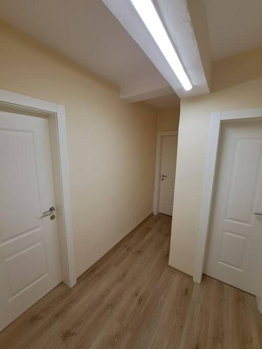 Quiet, Cozy, Luminous Apartment Тирана Екстериор снимка