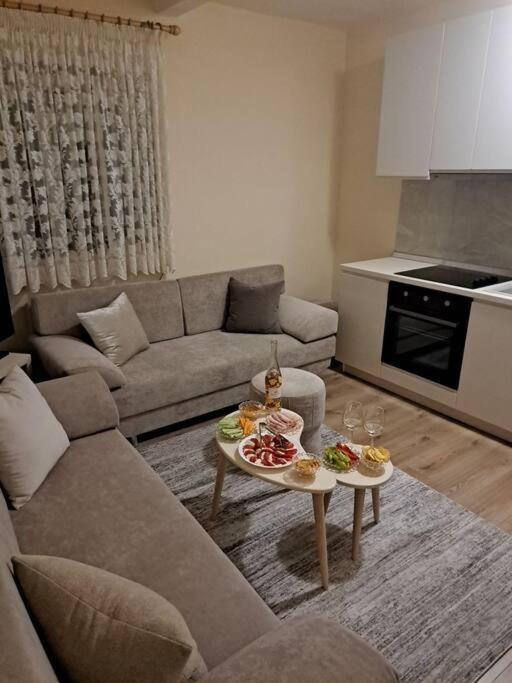 Quiet, Cozy, Luminous Apartment Тирана Екстериор снимка